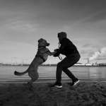 Ersteller:in Timo Profilbild