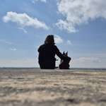 Ersteller:in Stephi Profilbild