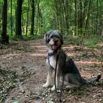 Ersteller:in Sarah Profilbild