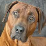 Ersteller:in Anna Profilbild