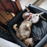 Ersteller:in MK5 Profilbild