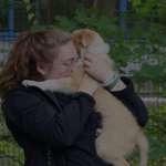 Ersteller:in Svea Profilbild