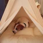 Ersteller:in ines Profilbild