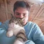 Ersteller:in Ladner Profilbild