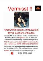 Suchmeldung-Haroulis-Bild