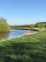 Hundeauslaufgebiet-Allerwiese klein Hehlen-Bild