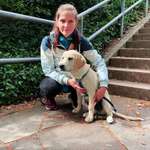 Ersteller:in Vivi Profilbild