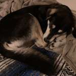 Ersteller:in Isa Profilbild