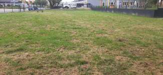 Hundeauslaufgebiet-Hundewiese Bönen-Bild