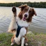 Ersteller:in Viola Profilbild