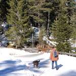 Ersteller:in Marvin Profilbild