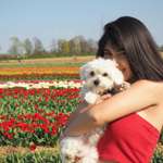 Ersteller:in Mila Profilbild