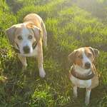 Ersteller:in Neele Profilbild