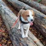 Ersteller:in Melanie Profilbild