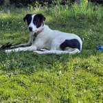 Ersteller:in Juliane Profilbild