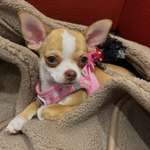 Ersteller:in Nina Profilbild