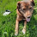 Ersteller:in Elke Profilbild