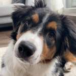 Ersteller:in Charlotte Profilbild