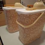 Futterbox-Beitrag-Bild