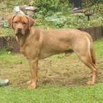 Ersteller:in Hannah Profilbild