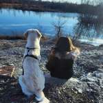 Ersteller:in Anika Profilbild