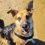 Ersteller:in Julia Profilbild