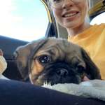 Ersteller:in Stefanie Profilbild