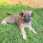 Ersteller:in Viktor Profilbild