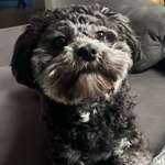 Ersteller:in Mona Profilbild