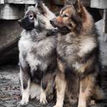 Ersteller:in Jessica Profilbild