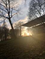 Hundeauslaufgebiet-Stadtpark Recklinghausen-Bild