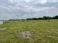 Hundeauslaufgebiet-Hundespielplatz Greetsiel-Bild