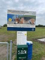 Hundeauslaufgebiet-Hundespielplatz Greetsiel-Bild