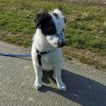 Ersteller:in Vanessa Profilbild