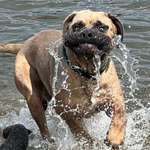 Ersteller:in Anja Profilbild