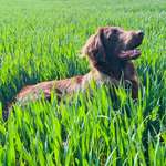 Ersteller:in Anniki Profilbild