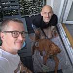 Ersteller:in David Profilbild
