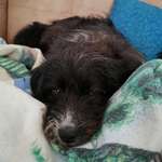 Ersteller:in Kirsten Profilbild