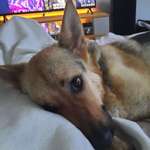 Ersteller:in Jörn Profilbild