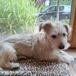 Ersteller:in Annette Profilbild