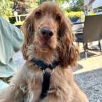 Ersteller:in Dorota Profilbild