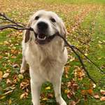 Ersteller:in Nadine Profilbild