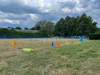 Hundeauslaufgebiet-Gottesauer Schloss Musikhochschule Karlsruhe-Bild