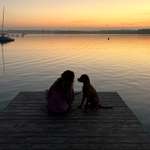 Ersteller:in Annabelle Profilbild