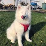 Ersteller:in Maja Profilbild