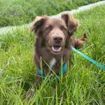 Ersteller:in Marleen Profilbild