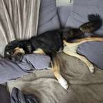 Ersteller:in S. Profilbild