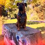 Ersteller:in Melanie Profilbild