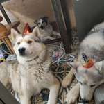 Ersteller:in Jana Profilbild