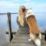 Ersteller:in Vanessa Profilbild